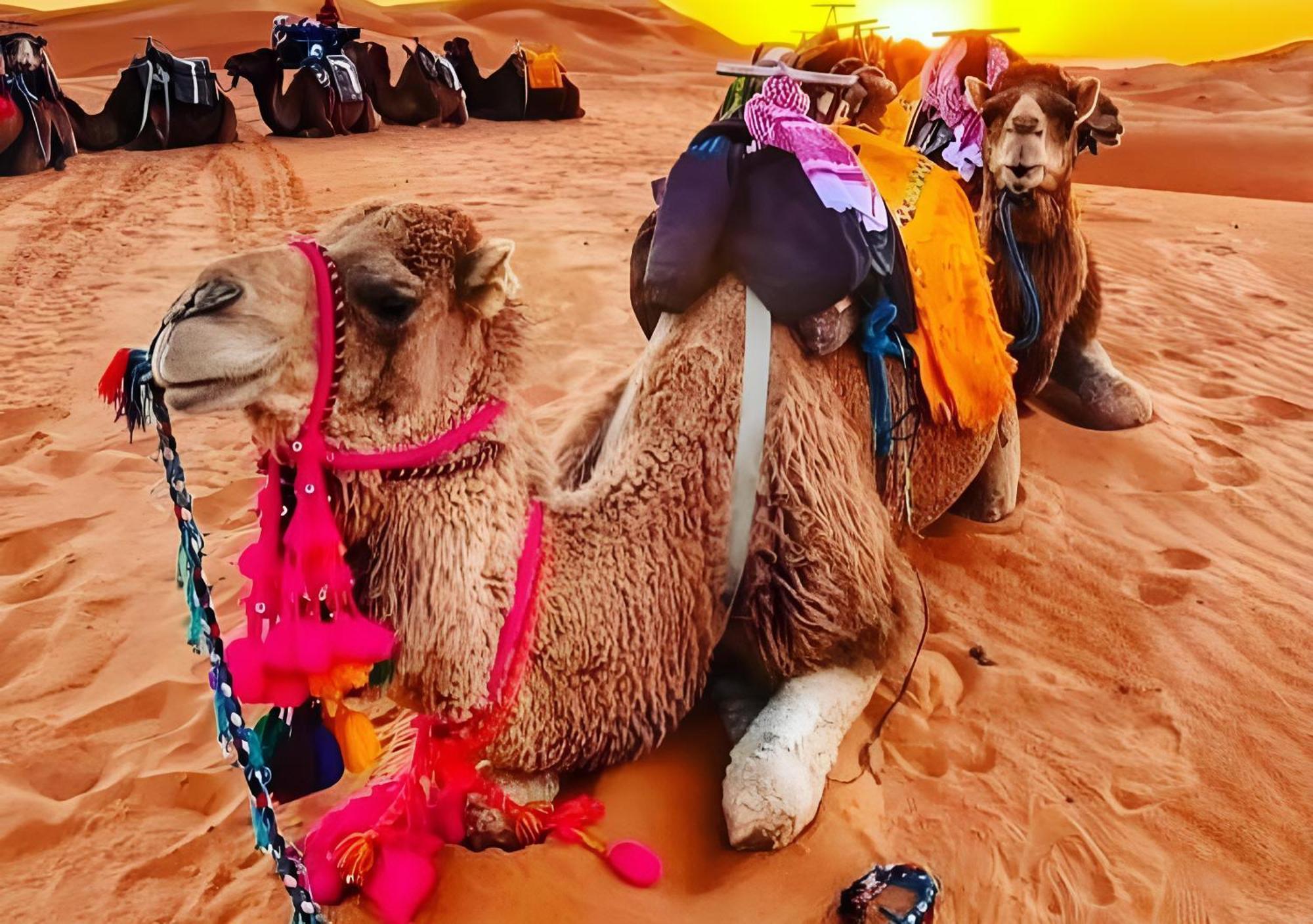 Top Desert Luxury Camp Merzouga Zewnętrze zdjęcie